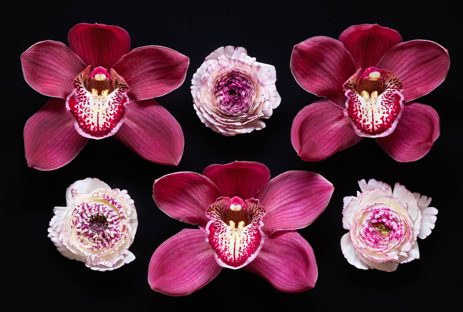 Marks and Spencer Mother