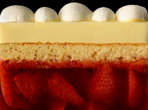 Trifle Cross Section