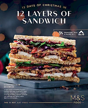 12 Layers of Sandwich